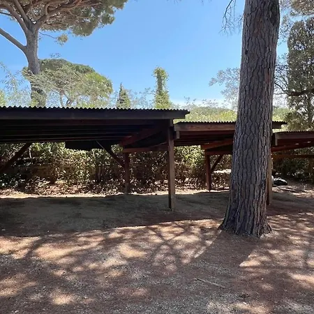 Ganesha Piscine Villa Port Grimaud