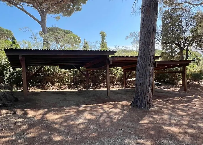 Ganesha Piscine Villa Port Grimaud